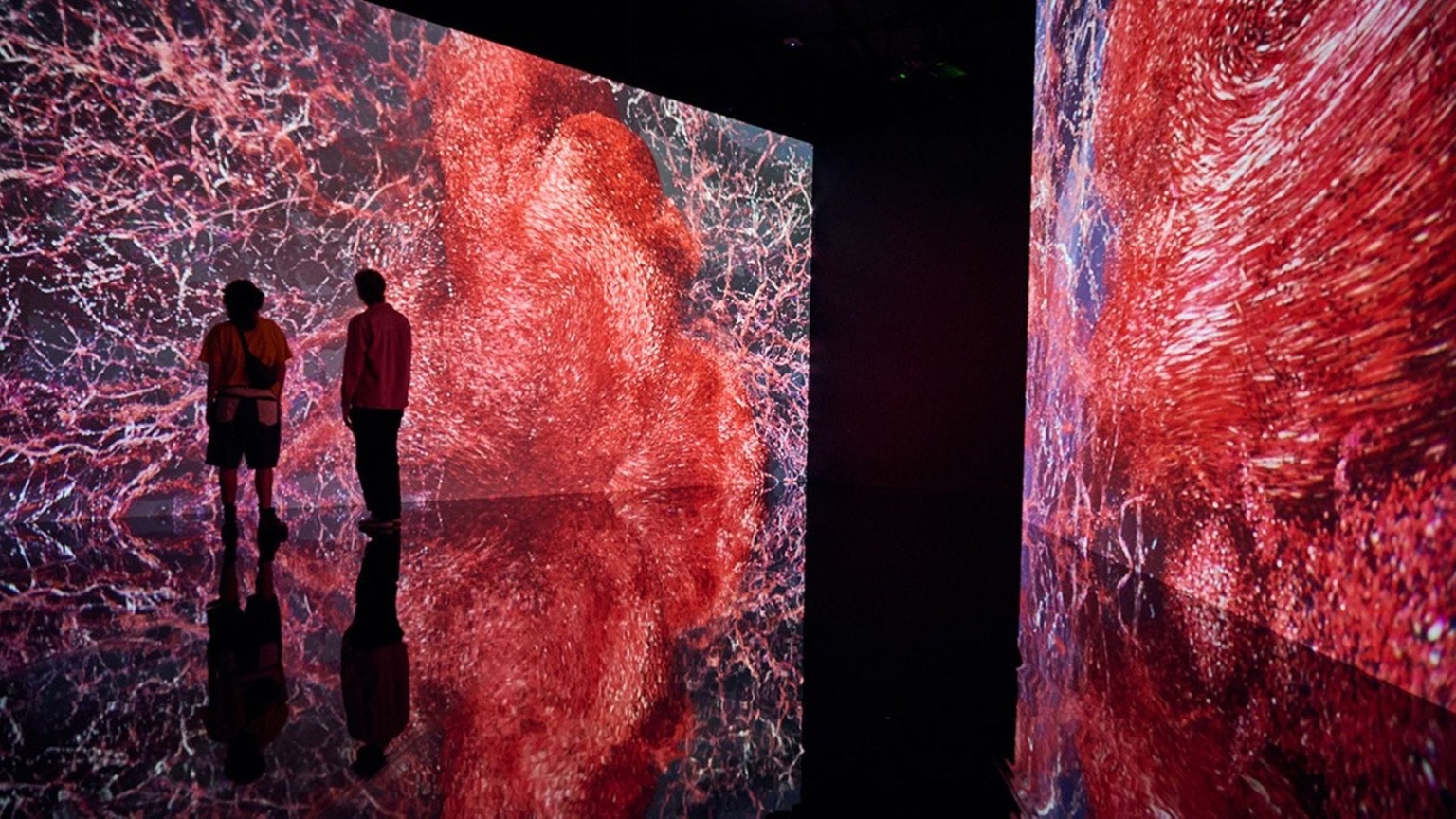ArtScience Museum® Flesh and Bones: The Art Of Anatomy
