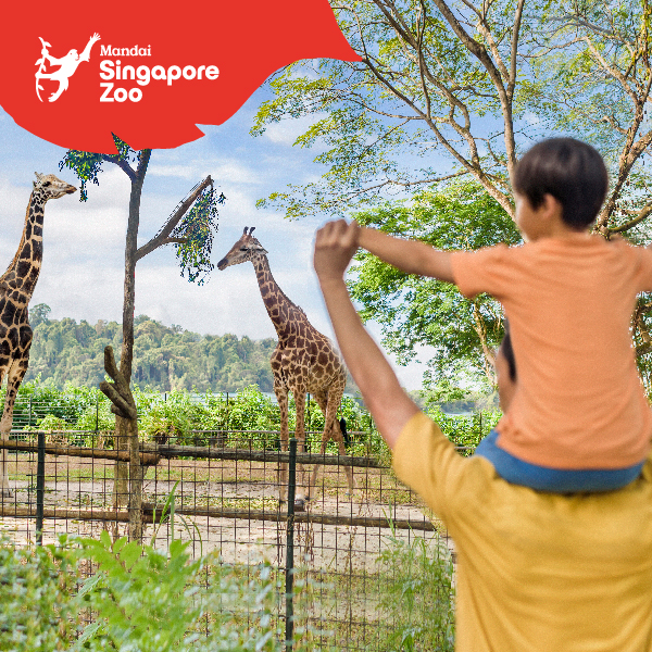 Singapore Zoo w/ Tram (For Tourist Only) *Visit date booking required*