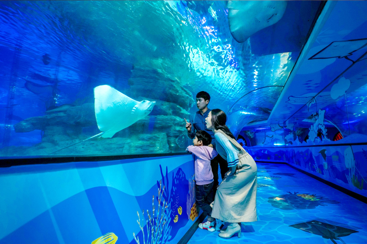 [SOUTH KOREA] SEA LIFE Busan Aquarium Ticket