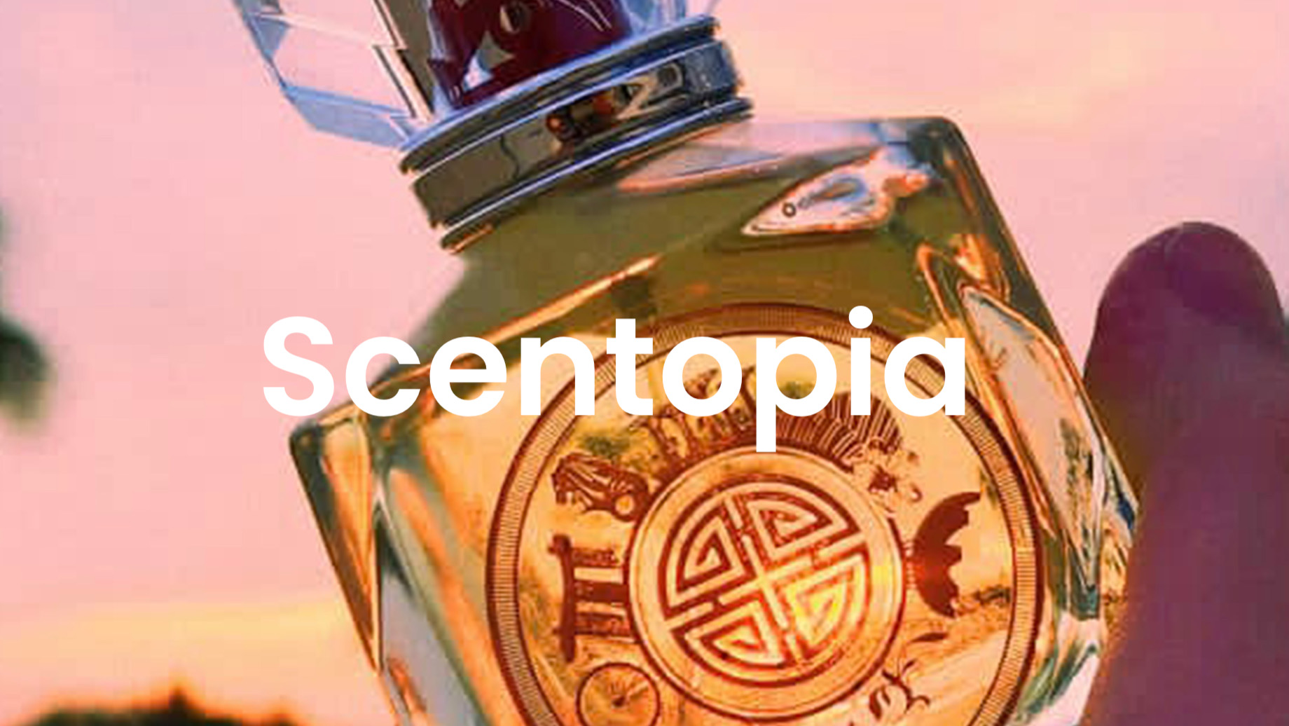  Scentopia Orchids Perfume Experience and Workshop