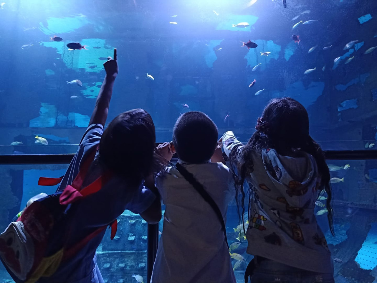 [THAILAND] Aquaria Phuket