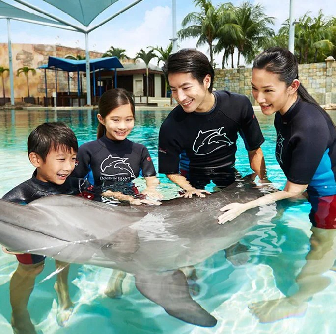 Dolphin Connection (with Adventure Cove Waterpark) - Dated