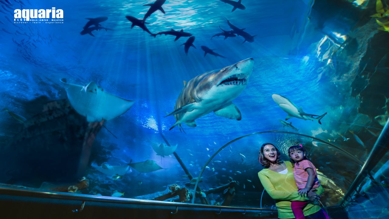 [MALAYSIA] Aquaria KLCC Ticket
