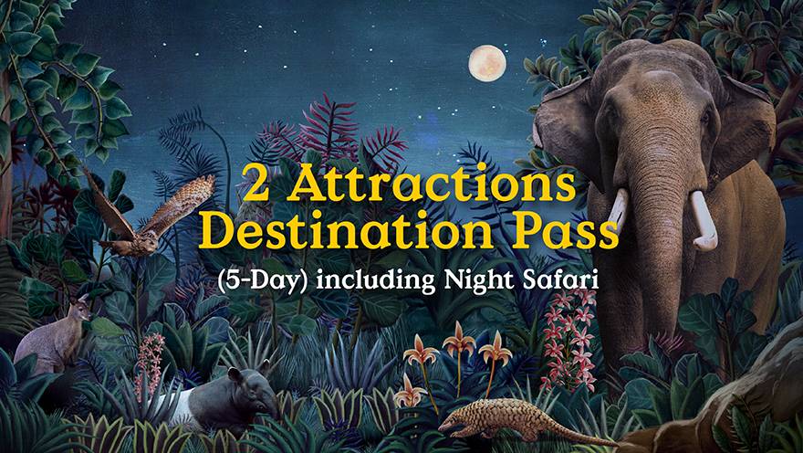 2-Parks Destination Pass