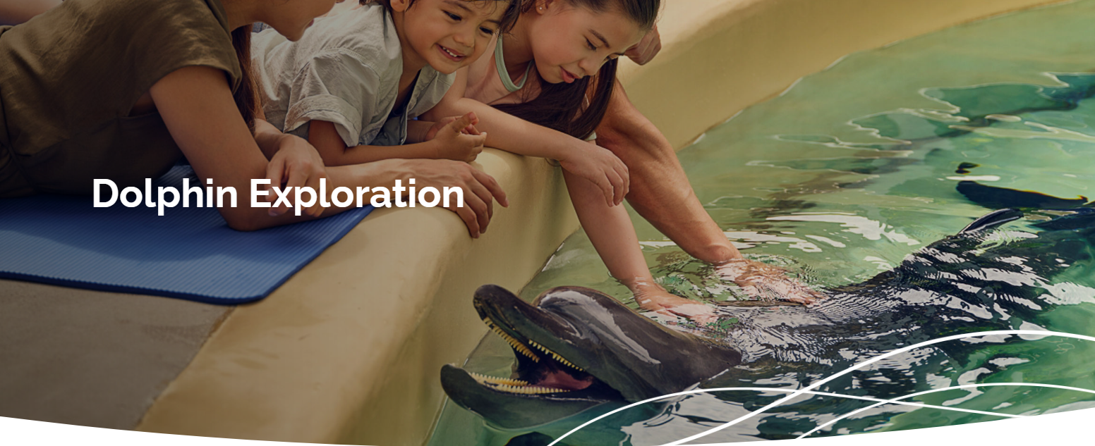 Dolphin Exploration