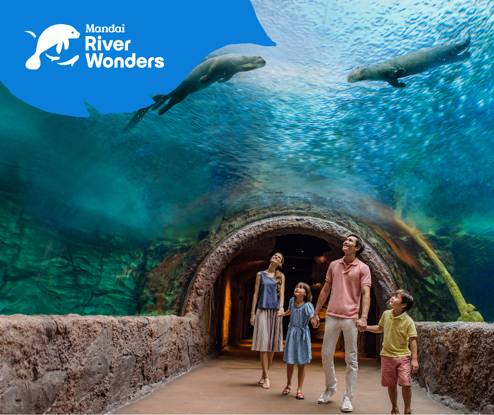 River Wonders Admission Only (For Tourist Only) *Booking Required*