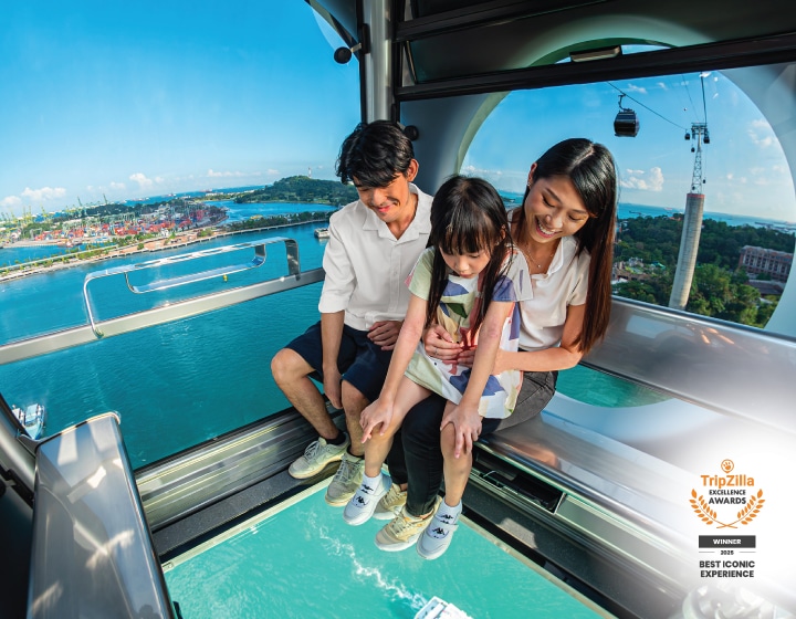 [API] Singapore Cable Car SkyOrb Cabin (Round Trip)