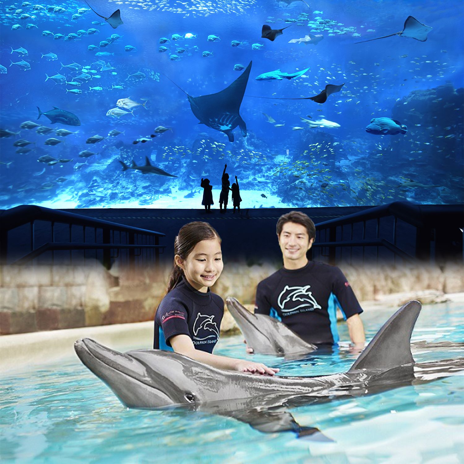 Dolphin Immersion (with Singapore Oceanarium) - Dated