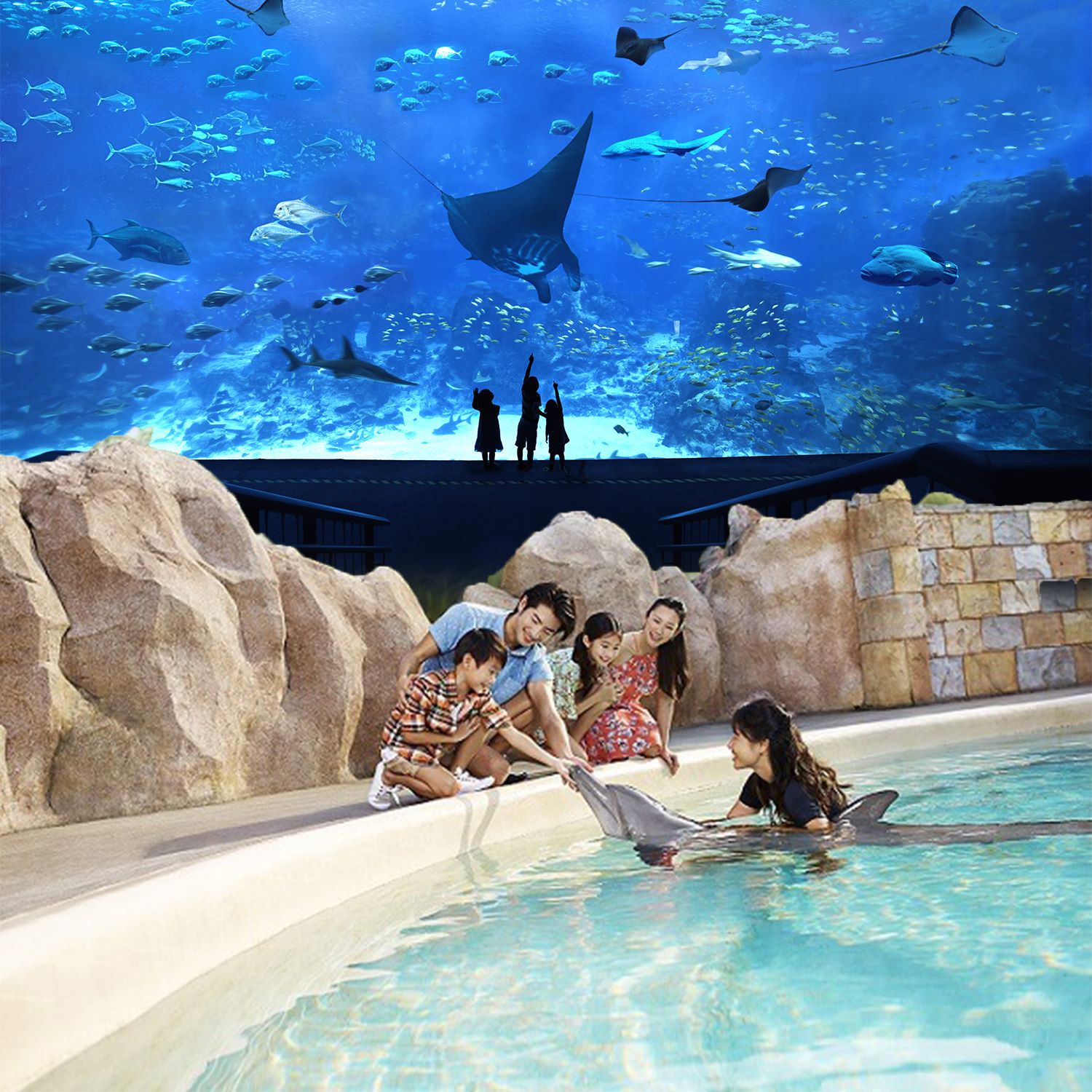 Dolphin Exploration (with Singapore Oceanarium) - Dated